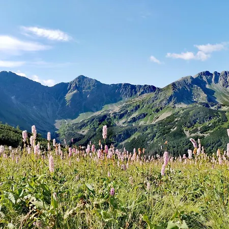 Privat Mima Kwatera prywatna *