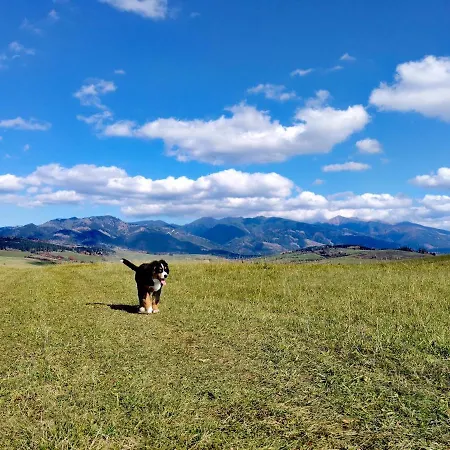 Privat Mima Kwatera prywatna