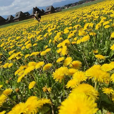 Privat Mima * Liptowski Tarnowiec