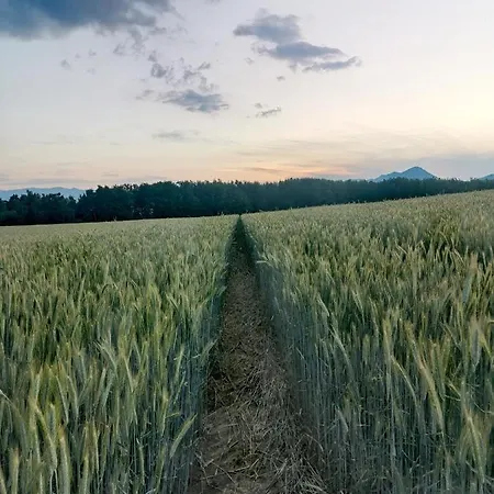 Kwatera prywatna Privat Mima Liptowski Tarnowiec