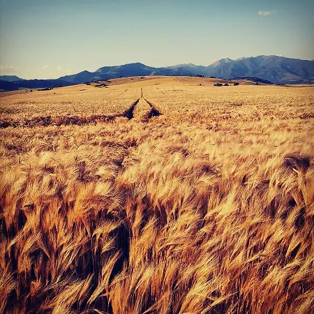 Privat Mima Kwatera prywatna *