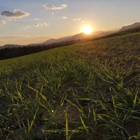 Privat Mima Kwatera prywatna